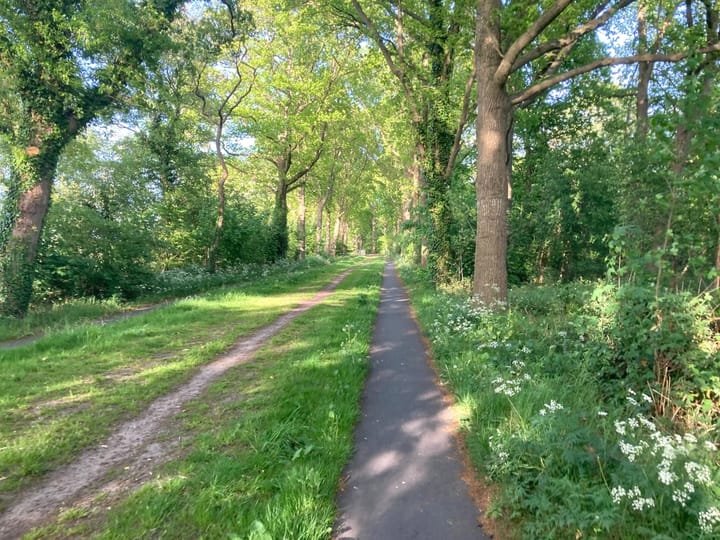 Photo 17 of Matsloot 3