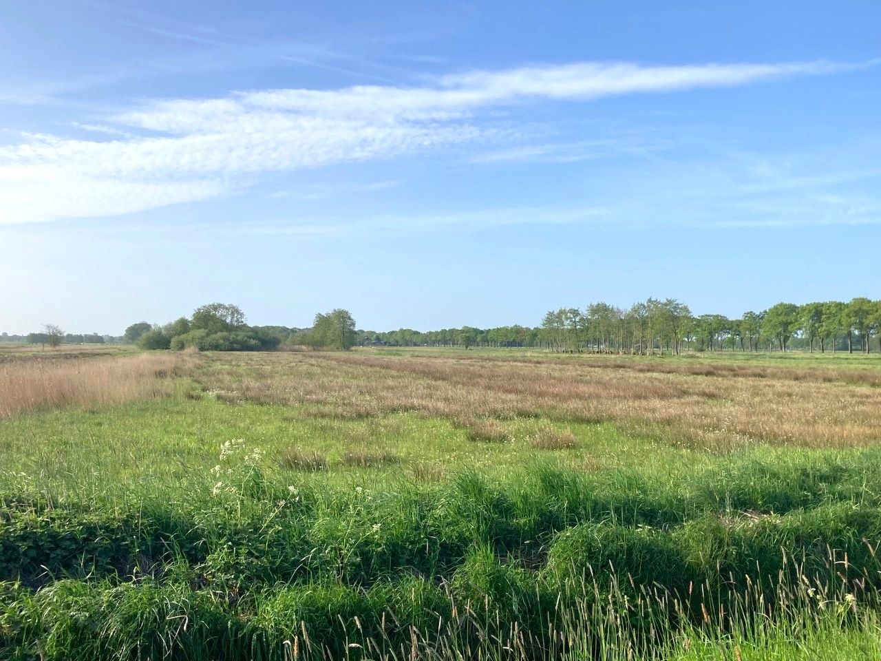 Foto 19 van Matsloot 3