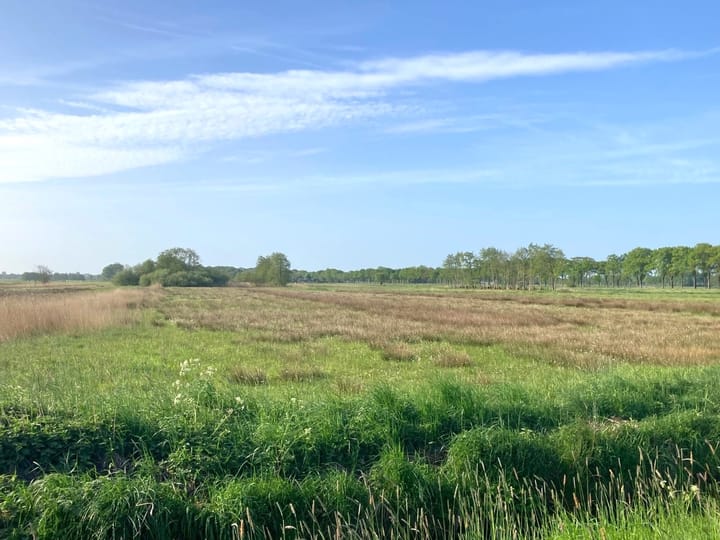 Photo 18 of Matsloot 3