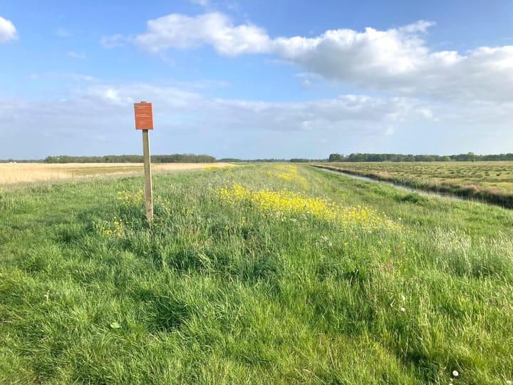 Photo 19 of Matsloot 3