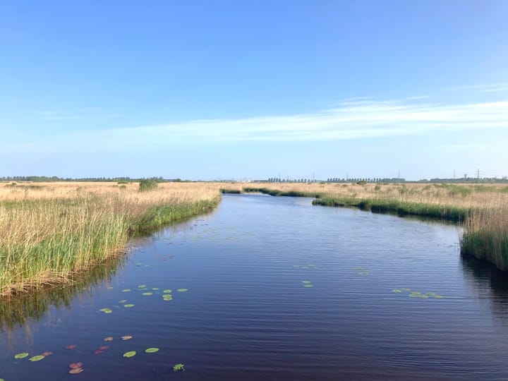 Photo 6 of Matsloot 3