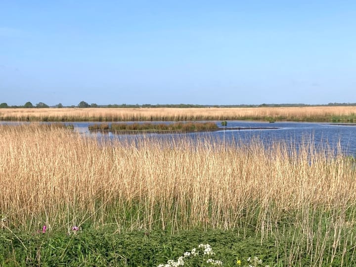 Photo 20 of Matsloot 3