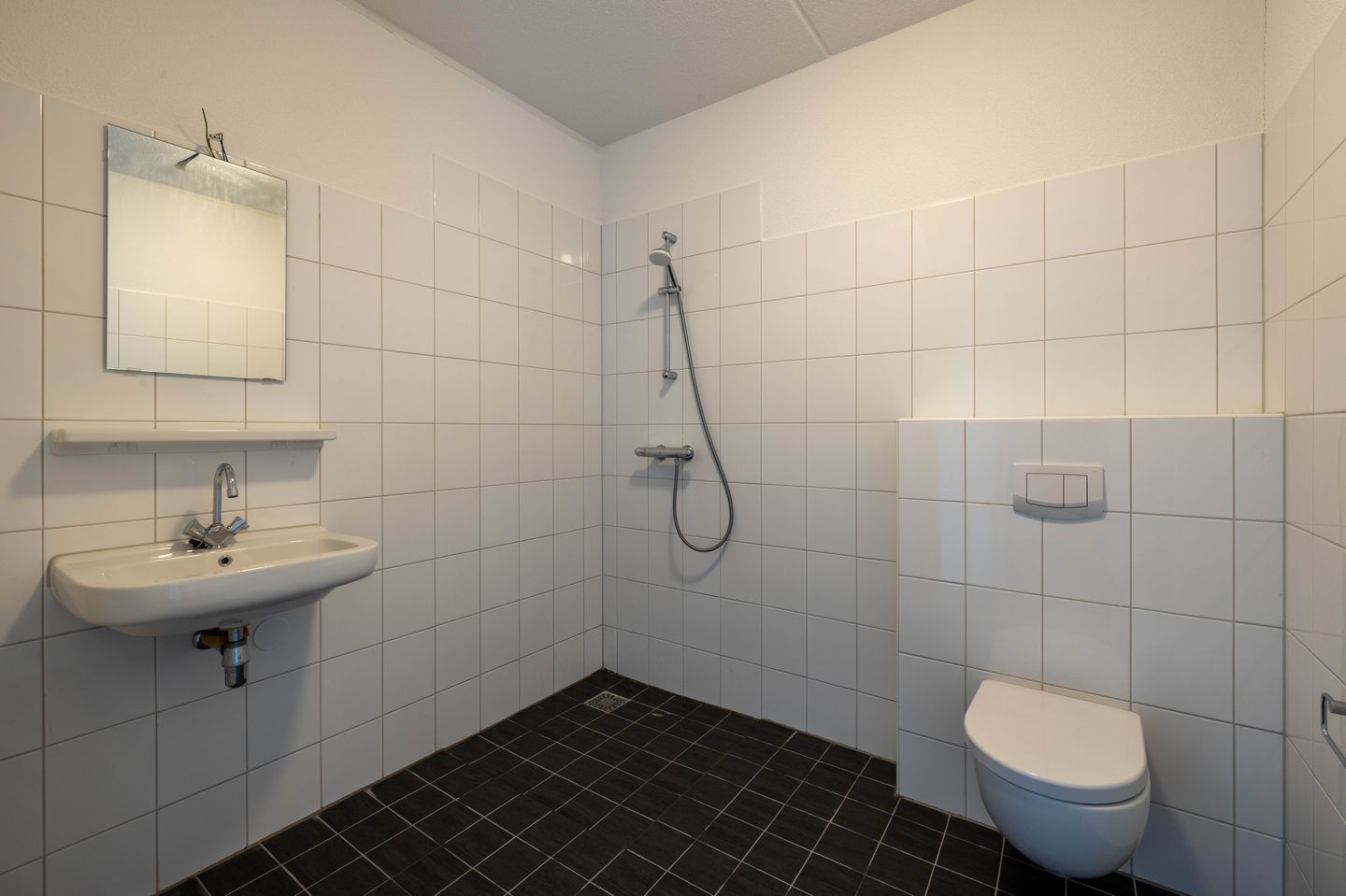 Foto 14 van Bornerbroeksestraat 207