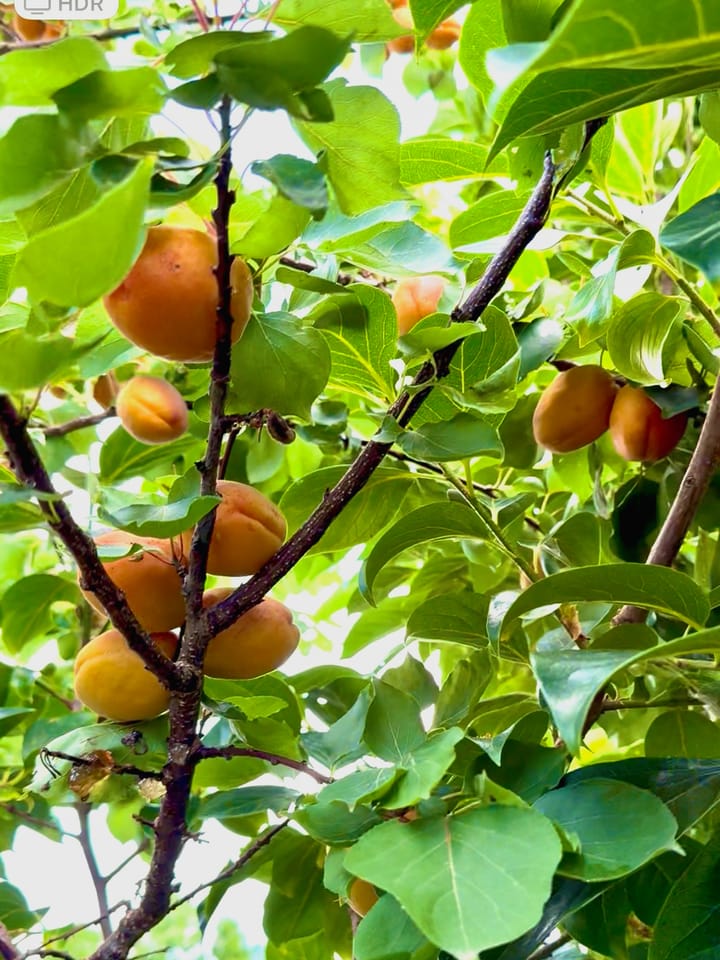 Photo 17 of Overmeerseweg 79-A