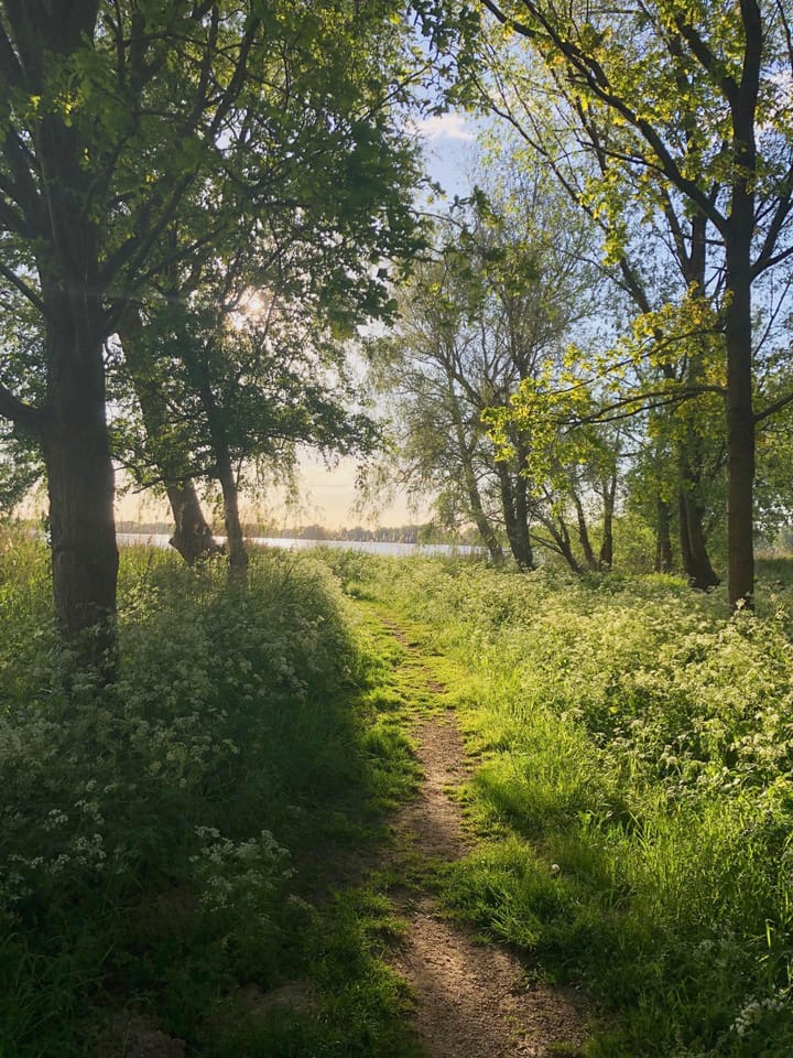 Photo 35 of Overmeerseweg 79-A