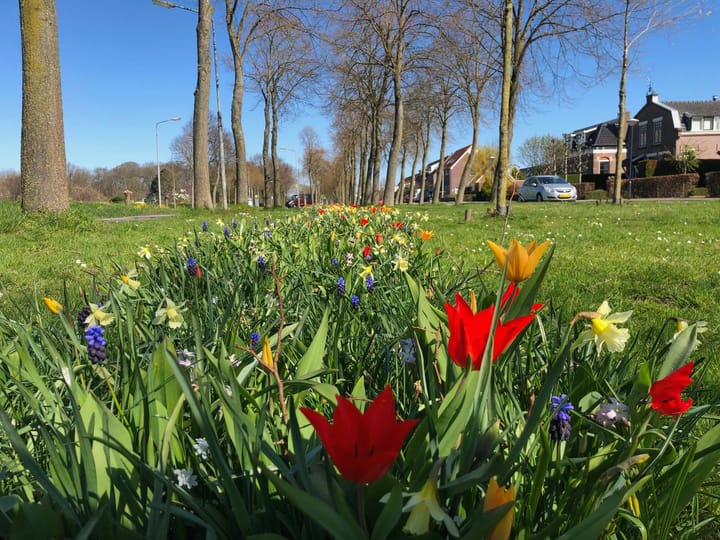 Photo 37 of Overmeerseweg 79-A