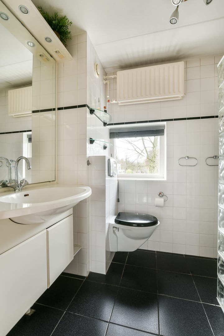 Foto 12 van Loethoelilaan 135