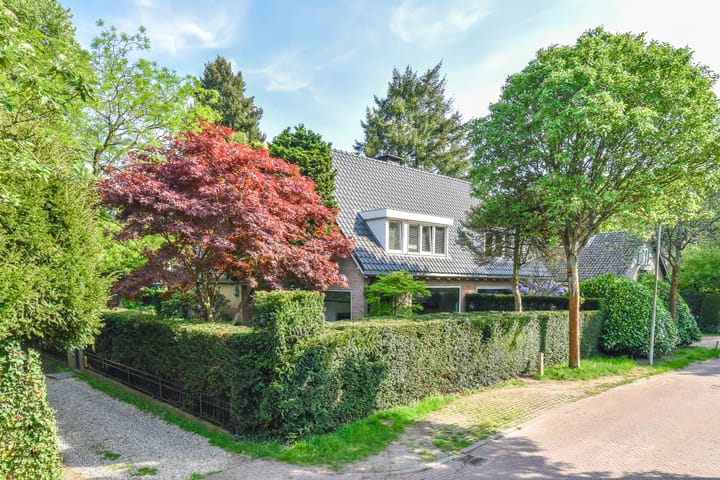 Foto 2 van Koloniepad 18