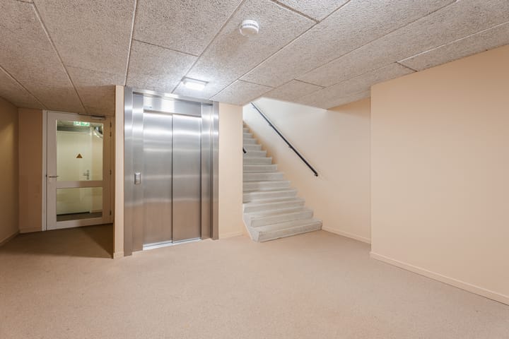 Foto 4 van Lavendel 493