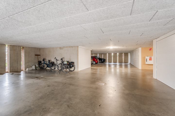 Photo 20 of Lavendel 493