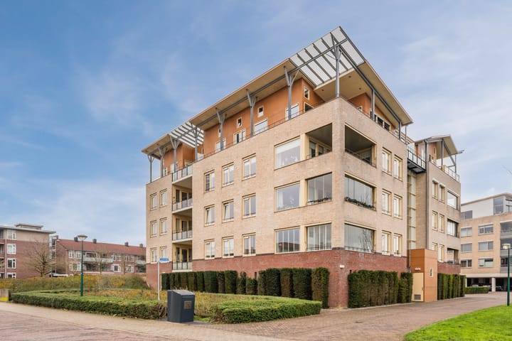 Photo 22 of Lavendel 493