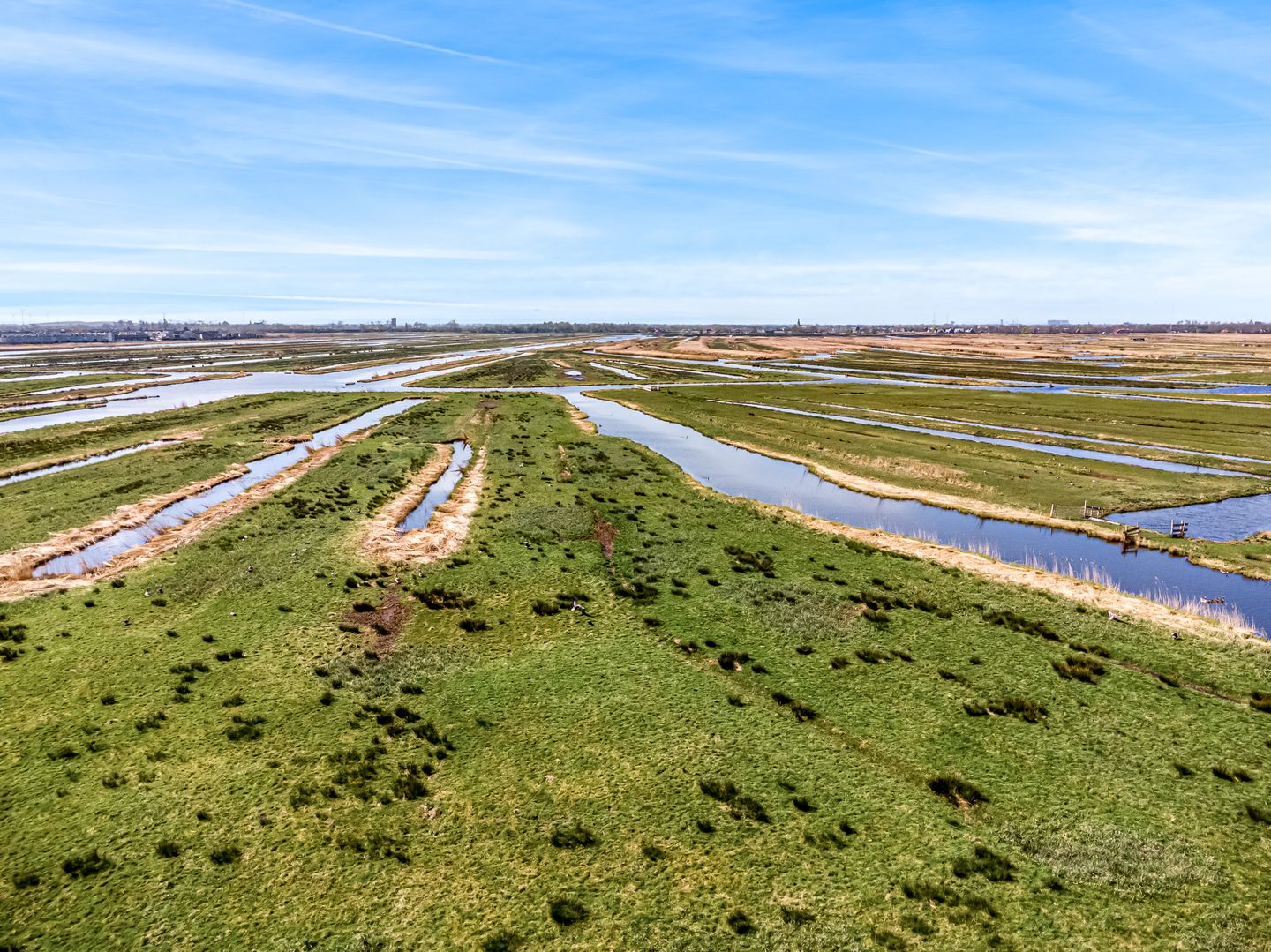 Photo 35 of Riouwstraat 54