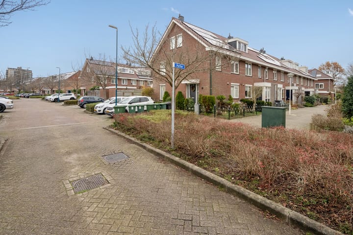 Foto 40 van Porfier 6