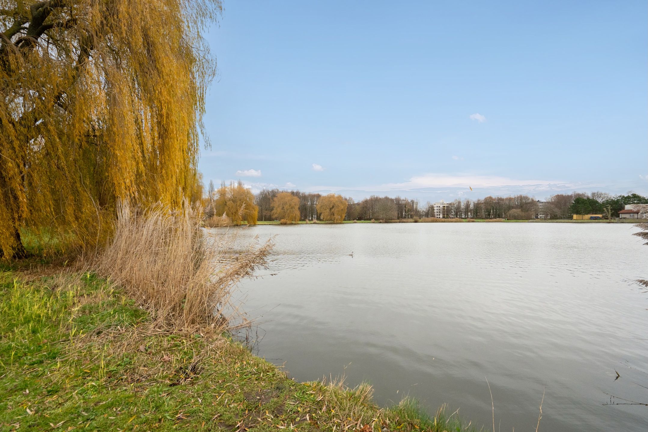 Foto 42 van Porfier 6