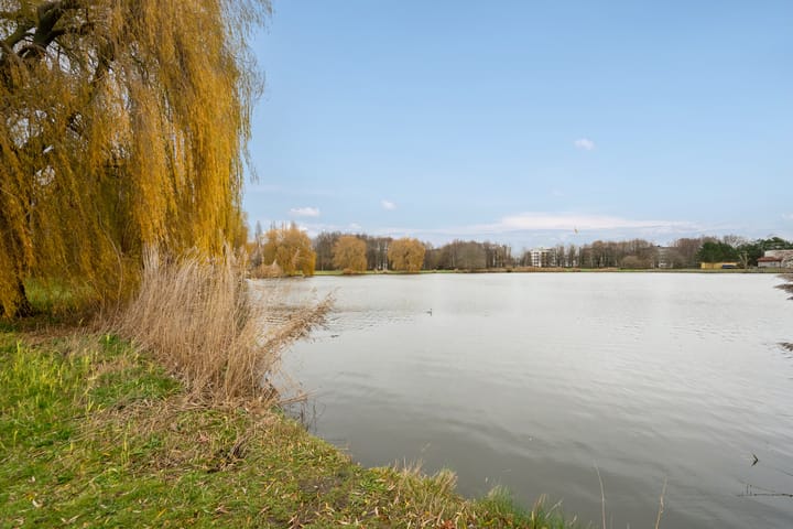 Foto 42 van Porfier 6