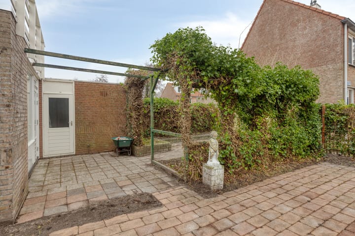 Photo 17 of Wierbalg 1981