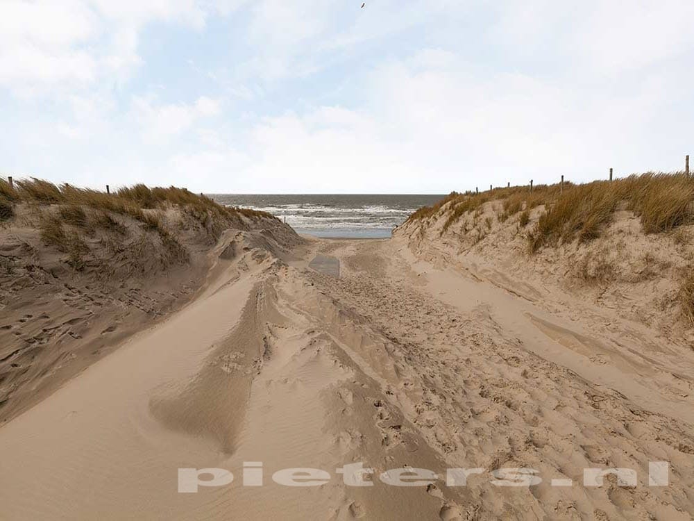 Foto 38 van Wierbalg 1981