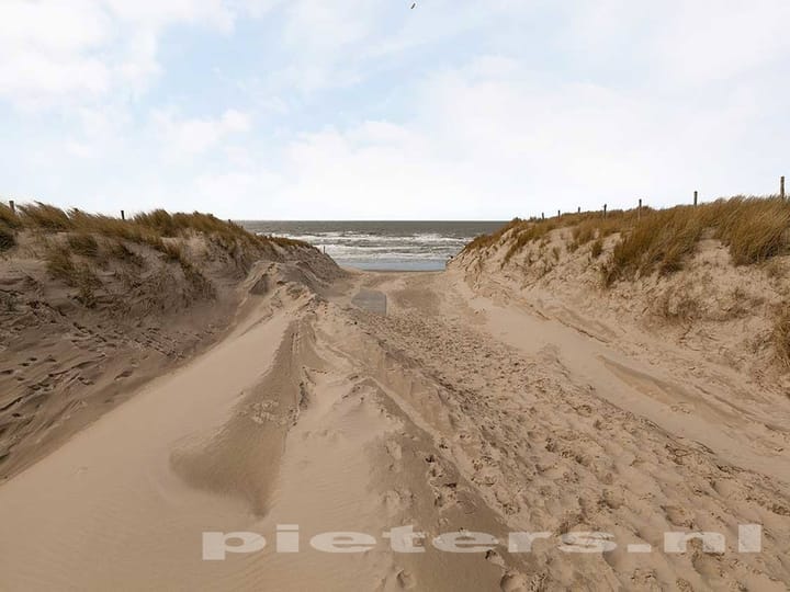 Photo 38 of Wierbalg 1981