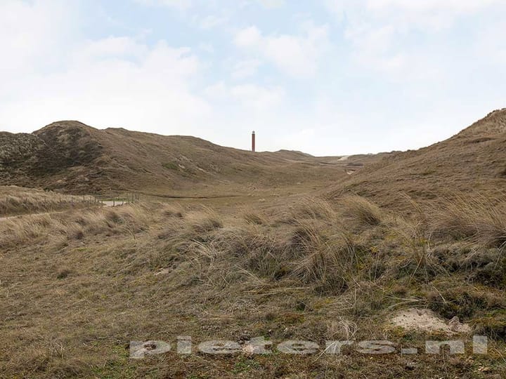 Photo 39 of Wierbalg 1981