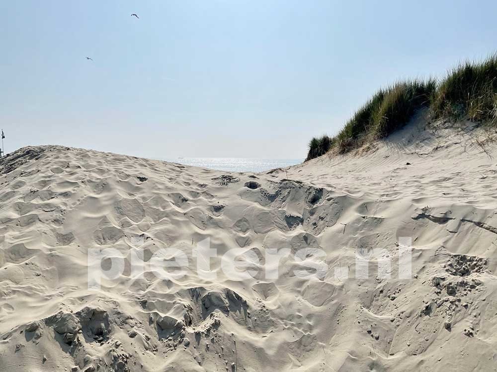 Foto 41 van Wierbalg 1981