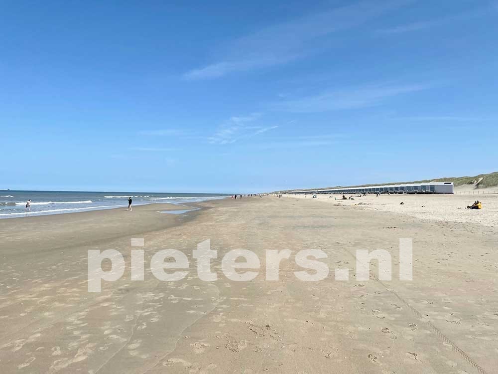 Foto 42 van Wierbalg 1981