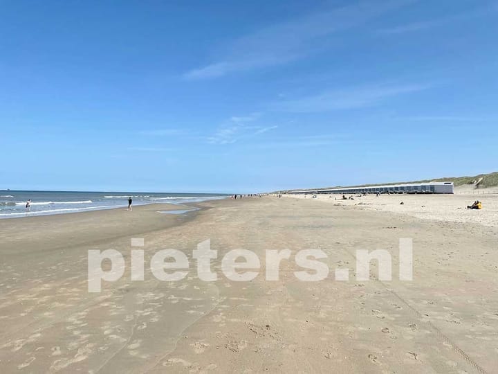 Photo 42 of Wierbalg 1981