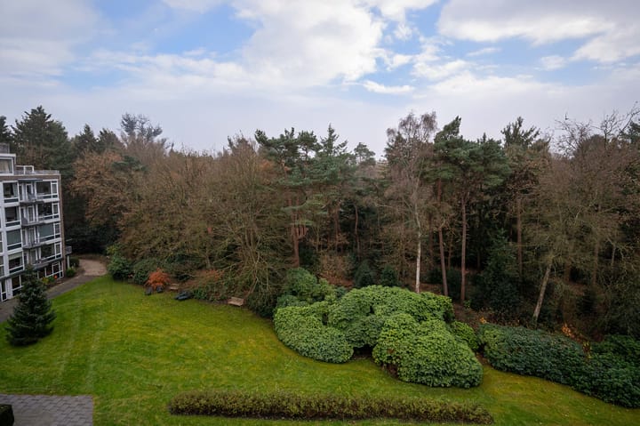 Foto 4 van De Hooghlaan 2-A43