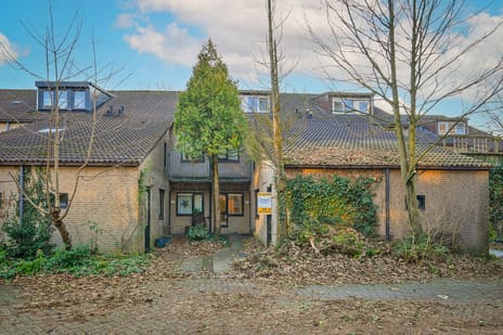 undefined main image