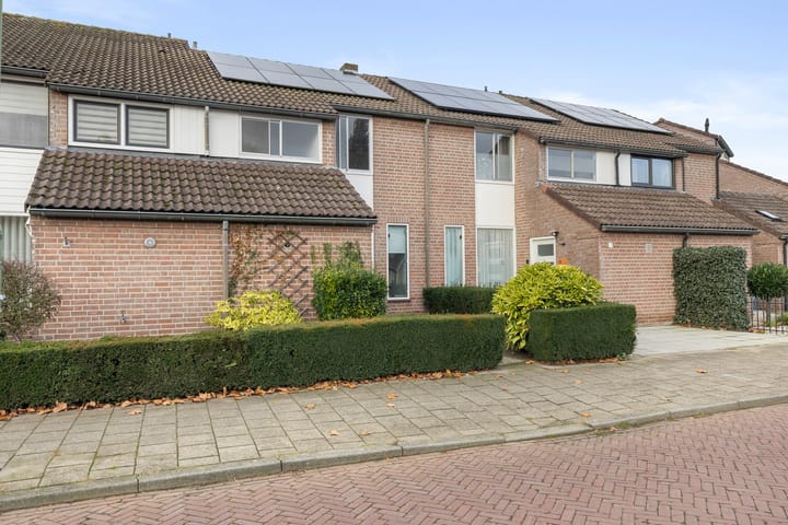 Foto 5 van Steengraaf 20