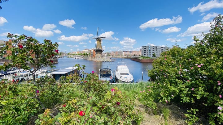 Photo 20 of Voorhaven 134