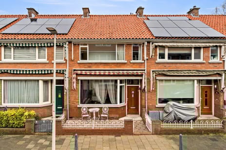 Bergmannstraat thumbnail