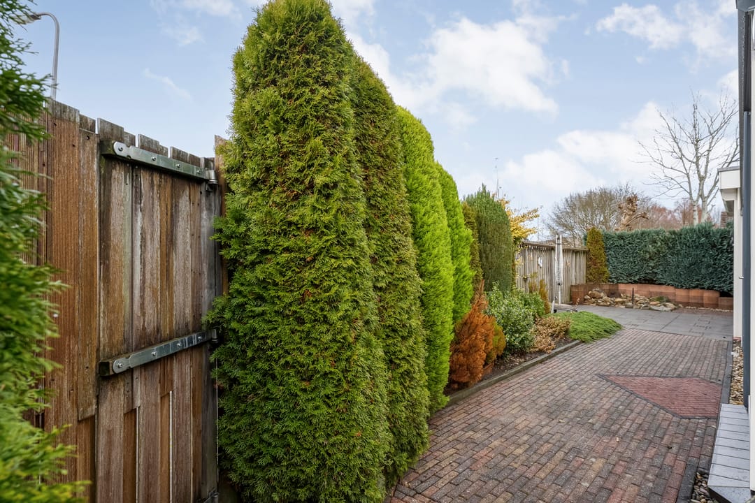 Foto 38 van Wicherserf 32