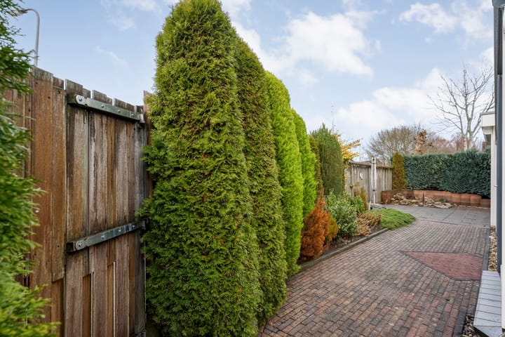 Photo 39 of Wicherserf 32