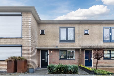 Multatulipad thumbnail