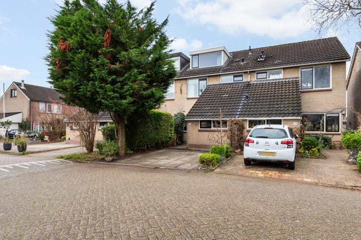 Foto 2 van Beemdgras 106