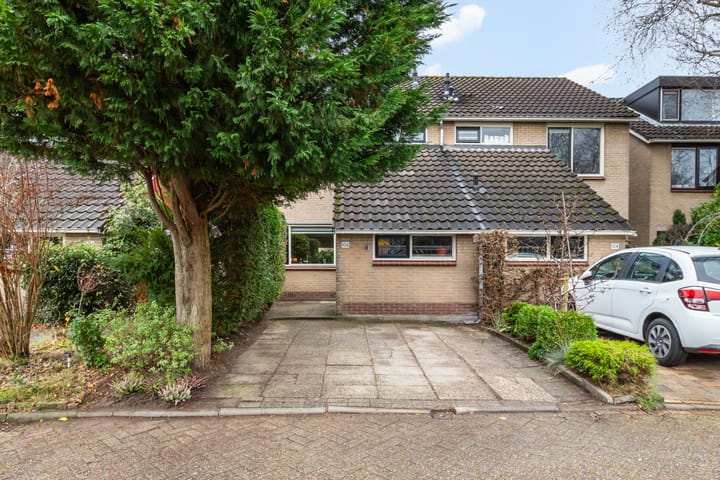 Foto 5 van Beemdgras 106