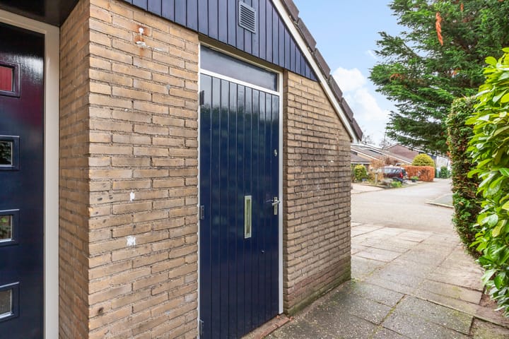 Foto 49 van Beemdgras 106