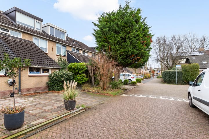 Foto 50 van Beemdgras 106