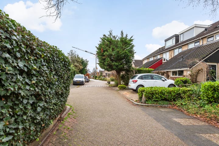 Foto 51 van Beemdgras 106