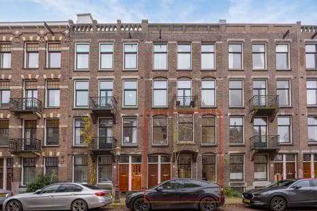 Nicolaas Maesstraat thumbnail