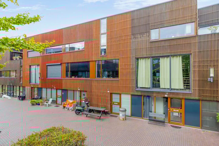 Foto 1 van Kokardebloem 50