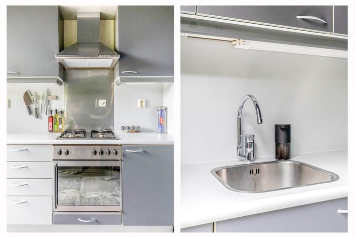 Foto 4 van Kokardebloem 50