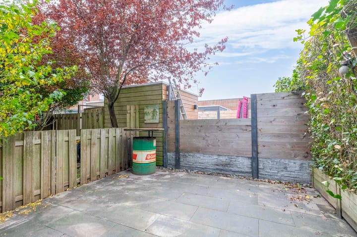 Foto 13 van Kokardebloem 50