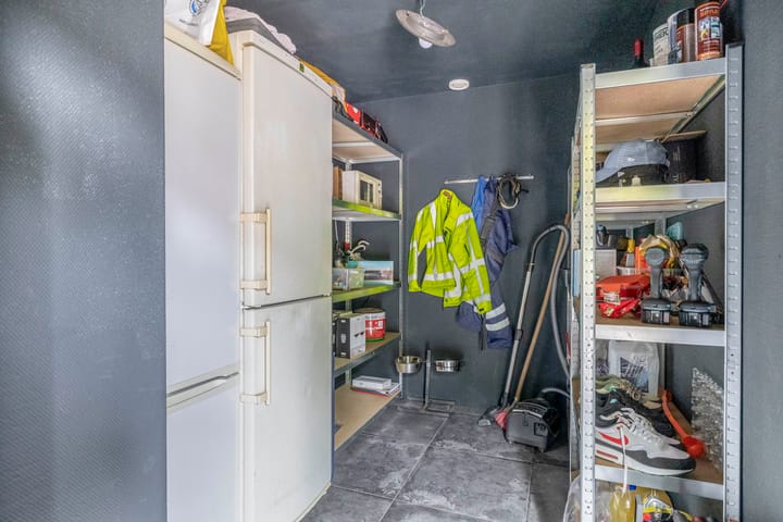 Foto 15 van Kokardebloem 50