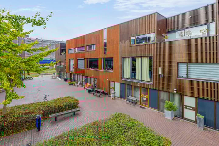 Foto 24 van Kokardebloem 50