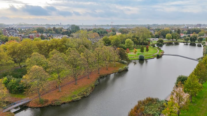 Foto 26 van Kokardebloem 50