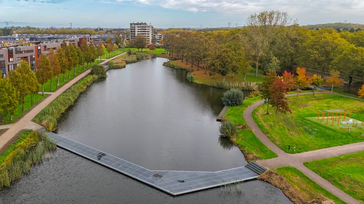 Foto 27 van Kokardebloem 50