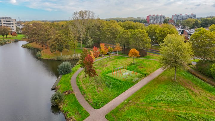 Foto 28 van Kokardebloem 50