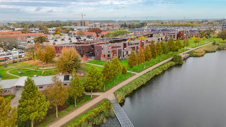 Foto 29 van Kokardebloem 50