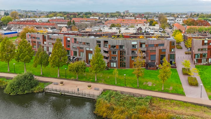 Foto 31 van Kokardebloem 50